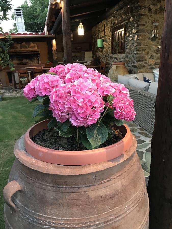 Villa Casa Avocado Тавронитис Экстерьер фото