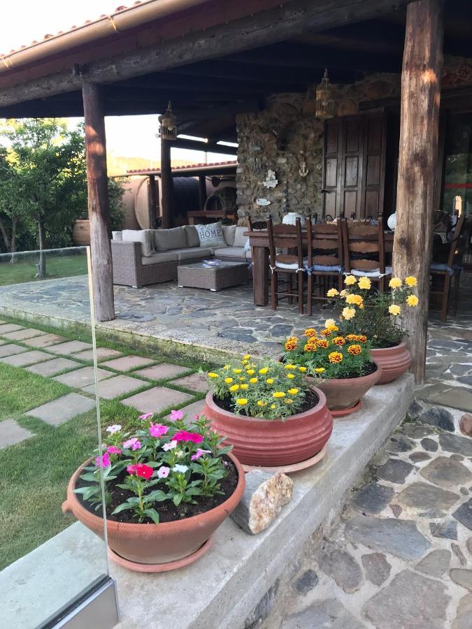 Villa Casa Avocado Тавронитис Экстерьер фото